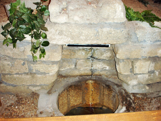 The Fountain of Youth